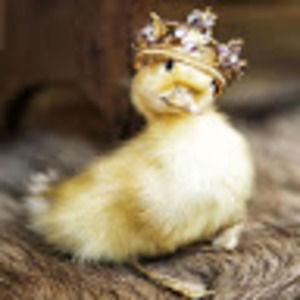 Meet your Posher, Bethie